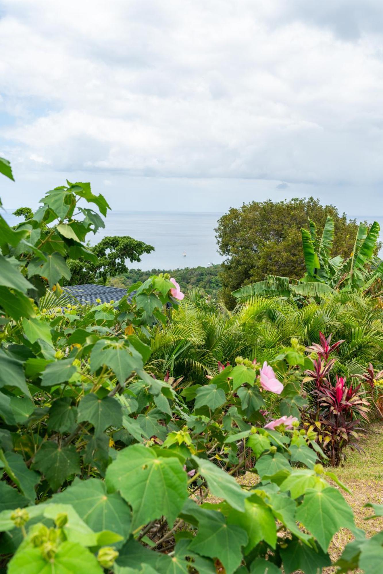 Villa Calypso Bay Bouillante Exterior foto